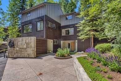 851 S Ute Ave unit B, Aspen, CO 81611 - photo 6