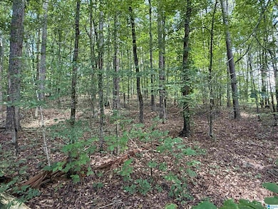 Lot 15 Davis Dr unit 15, Glencoe, AL 35905 - photo 4