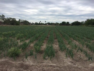 000 E Nebraska Rd, Alamo, TX 78516 - photo 3