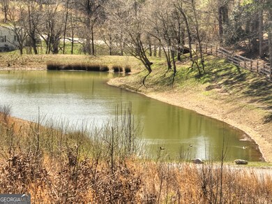 2 Arbor Creek Trail, Mineral Bluff, GA 30559 - photo 6