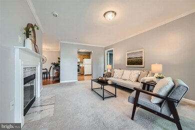 2 Tyler Falls Ct unit J, Baltimore, MD 21209 - photo 6