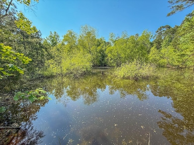 0 Tbd Hwy 69, Woodville, TX 75979 - photo 3