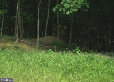 0 Posey Hollow unit WVMO116494, Berkeley Springs, WV 25411 - photo 3