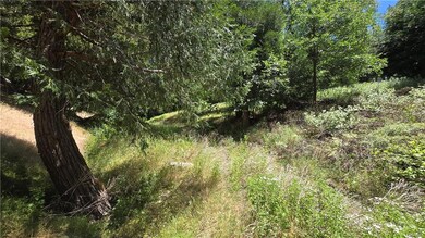 Taken from Mojave River Rd. The property is up this path and off to the right.