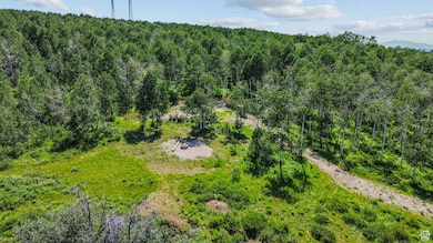 17899 E Snow Bird Dr unit 30D, Spanish Fork, UT 84526 - photo 2