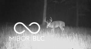 0 Highway 60 unit MBR22070478, Borden, IN 47106 - photo 6