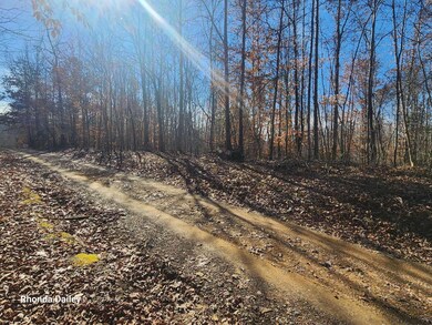 Dirt Rd by property