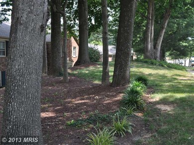 8398 Forrester Blvd unit 556, Springfield, VA 22152 - photo 3