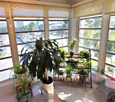 Perfect indoor green spot