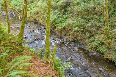 Creek