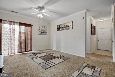 13500 Derry Glen Ct unit 302, Germantown, MD 20874 - photo 3