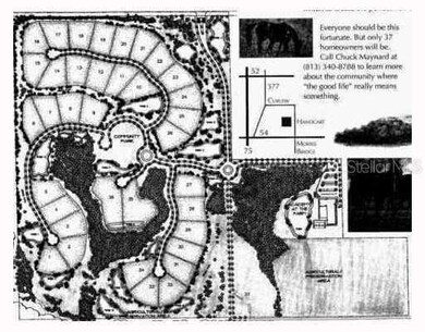 9823 Belmont Park Dr, Dade City, FL 33525 - photo 3