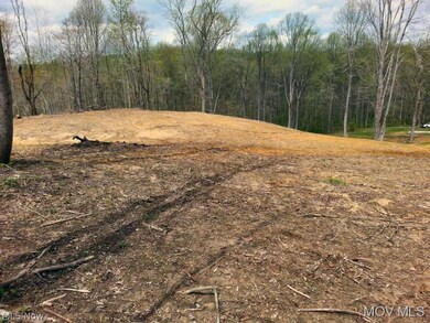 0 Henrie Ln unit M239703, Williamstown, WV 26187 - photo 7