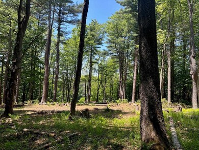 232 Deer Hill Rd, Whitingham, VT 05361 - photo 6