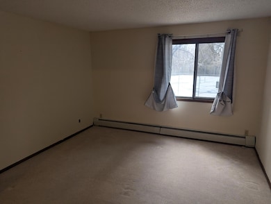 10451 Greenbrier Rd unit 115, Hopkins, MN 55305 - photo 6