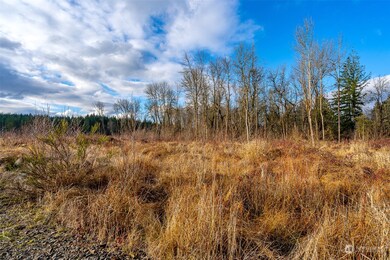0 U S 12 unit Lot 2 NWM2273307, Napavine, WA 98532 - photo 5