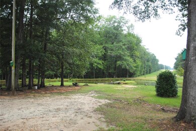 1400 Highway 82, Fitzpatrick, AL 36029 - photo 3