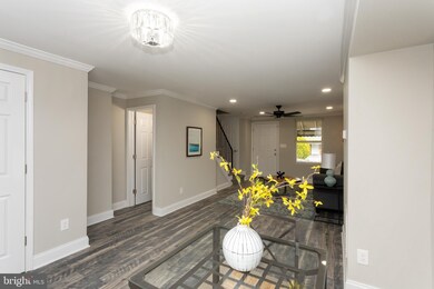 3203 Kentucky Ave, Baltimore, MD 21213 - photo 5