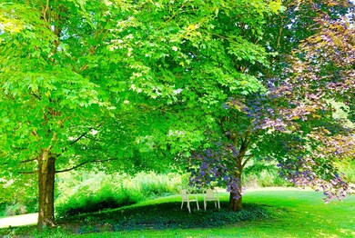 696 Hancock Hwy, Honesdale, PA 18431 - photo 6