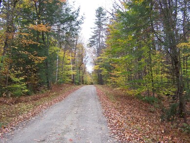 184 Gustin Pond Rd, Marlow, NH 03456 - photo 4