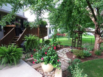 Japanese garden and rear deck in summer