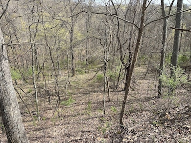 0 Chesterville Rd unit Lot WP001 23687476, Mineral Wells, WV 26150 - photo 4