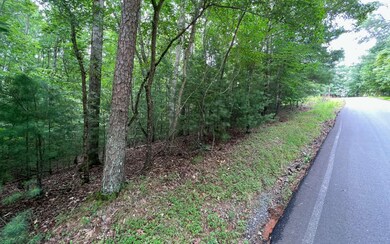 Additional View