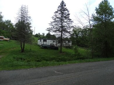 Front of SWMH & Creek Next to Road