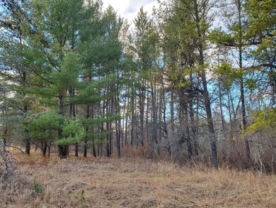 27548 S River Rd, Webb Lake, WI 54830 - photo 4