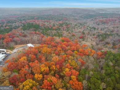 0 Hogan Pond Ln unit 10652503, Ball Ground, GA 30107 - photo 7