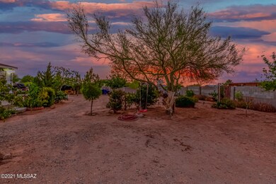 40 - Golden Cactus Twilight