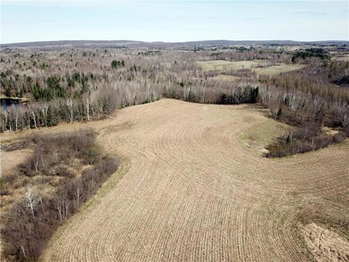 60 Acres Olesiak Rd, Weyerhaeuser, WI 54895 - photo 4