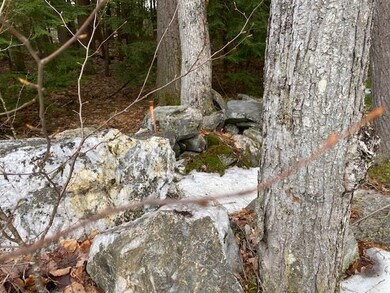 17 Nina Lee, Putney, VT 05346 - photo 2