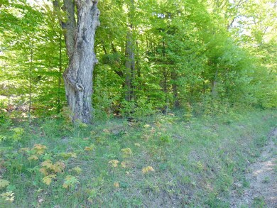 2 Crepeault Hill Rd unit 2, Saint Johnsbury, VT 05819 - photo 7