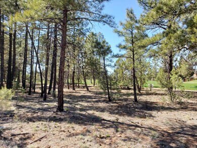 4190 W Sugar Pine Loop