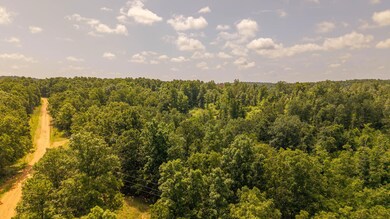 0 Bobcat Ln, Mammoth Spring, AR 72554 - photo 7