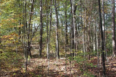 Gosser Ridge Spur, Russell Springs, KY 42642 - photo 2