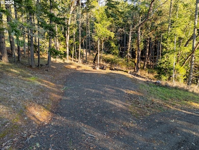 1034 Cleveland Loop Dr, Roseburg, OR 97471 - photo 7