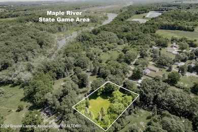 Lot 70 Mill Rd Maple Rapids MI-113
