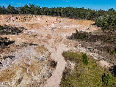 0 Malcolm Taylor Rd, Bonifay, FL 32425 - photo 4