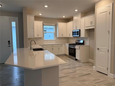 3871 Cavour Ct, Wesley Chapel, FL 33543 - photo 2