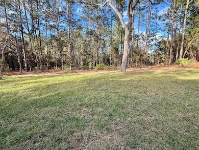 1575 W Lamplighter St, Citrus Springs, FL 34434 - photo 6