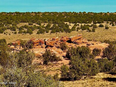 228, Concho, AZ 85924 - photo 3