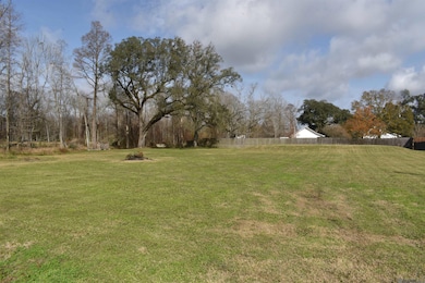 35372 Big Easy St, Geismar, LA 70734 - photo 2