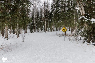 Trail System