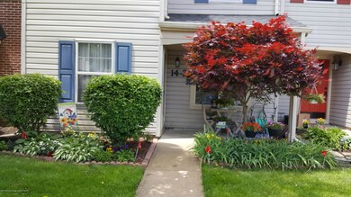Full bloom 2017