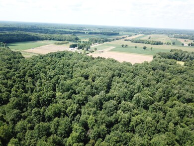 DJI_0247