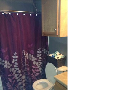 Hall Guest bath