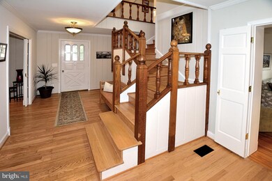 7800 Lee Ave, Alexandria, VA 22308 - photo 2