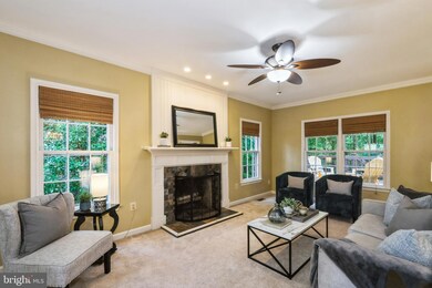 7721 Modisto Ln, Springfield, VA 22153 - photo 6